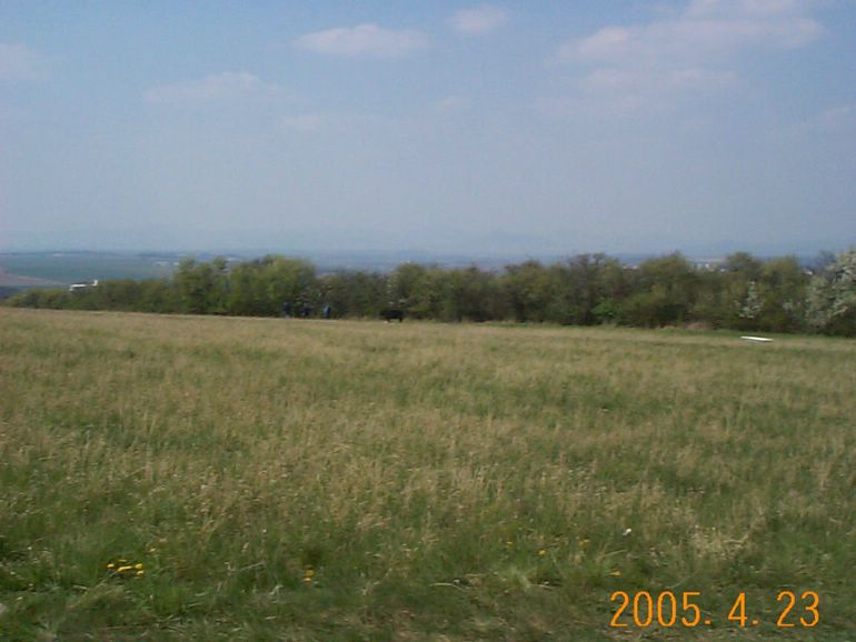 DCP17711.JPG