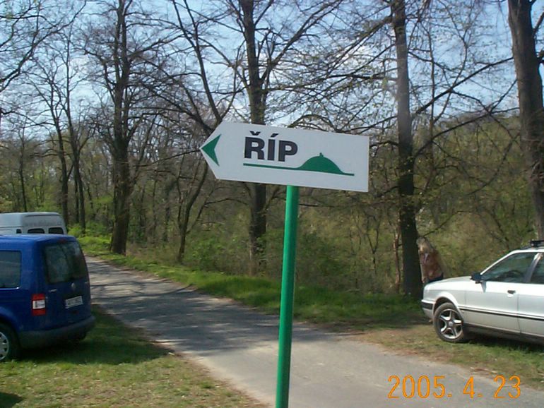 DCP17713.JPG