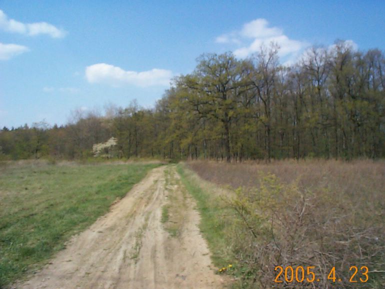 DCP17715.JPG