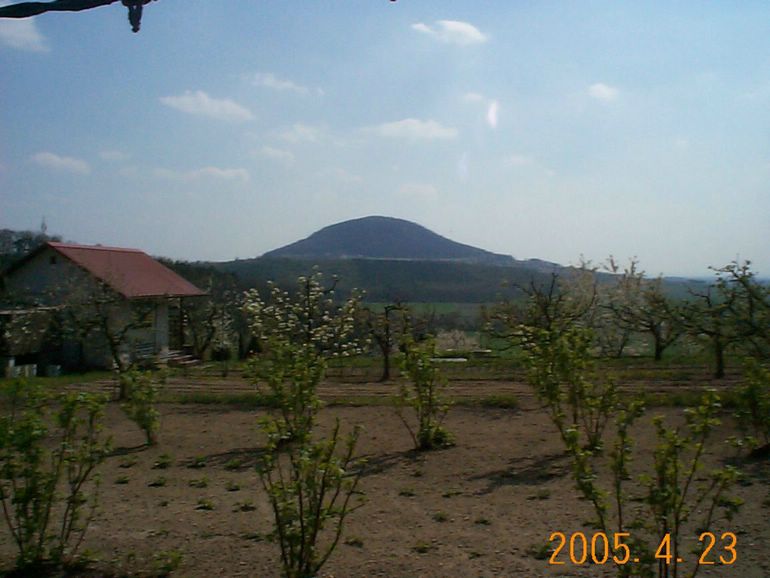 DCP17716.JPG