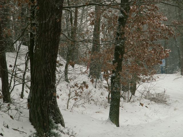 060204_PICT0030.JPG