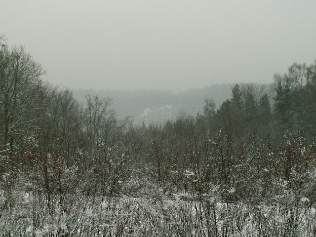 060204_PICT0038.JPG