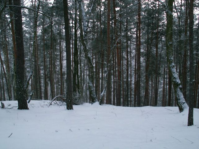 060204_PICT0071.JPG