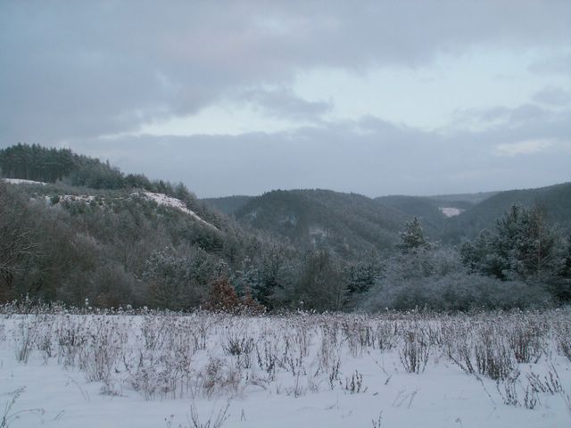 060204_PICT0075.JPG