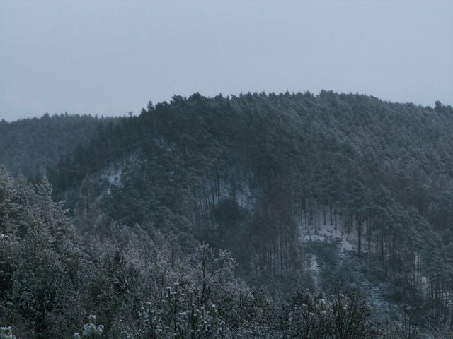 060204_PICT0076.JPG