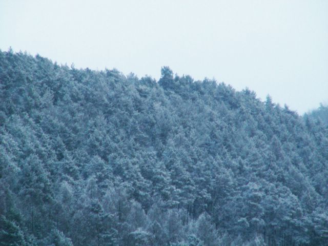 060204_PICT0077.JPG