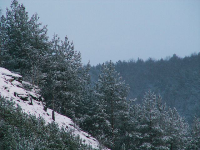 060204_PICT0078.JPG