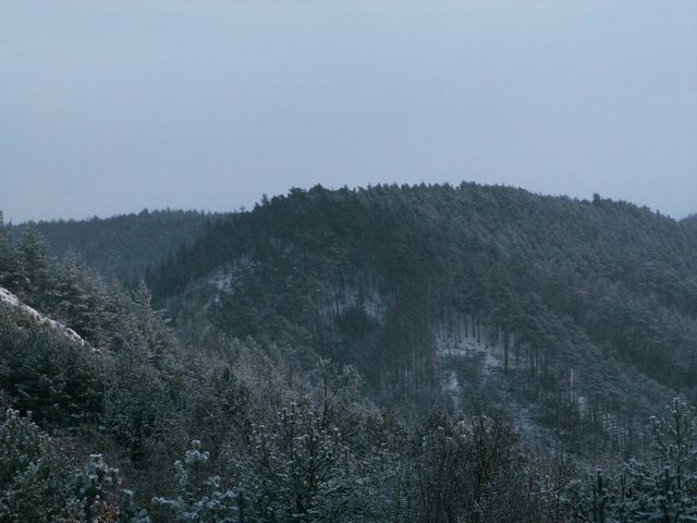 060204_PICT0079.JPG