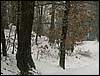 060204_PICT0030.JPG