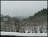 060204_PICT0036.JPG