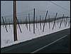 060204_PICT0061.JPG