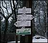060204_PICT0066.JPG