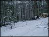 060204_PICT0068.JPG