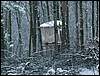 060204_PICT0069.JPG