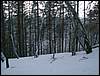 060204_PICT0070.JPG