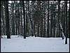 060204_PICT0071.JPG