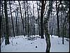 060204_PICT0072.JPG