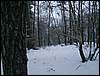 060204_PICT0073.JPG