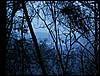 060204_PICT0074.JPG