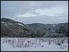 060204_PICT0075.JPG