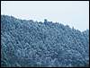 060204_PICT0077.JPG