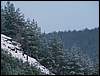 060204_PICT0078.JPG