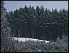 060204_PICT0080.JPG