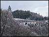 060204_PICT0081.JPG