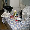 060318_PICT0002.JPG