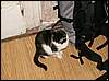 060318_PICT0006.JPG