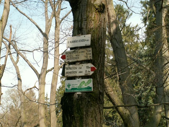 060415_PICT0022.JPG