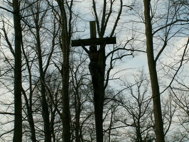 060415_PICT0035.JPG