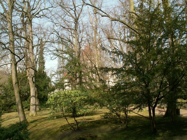 060415_PICT0040.JPG