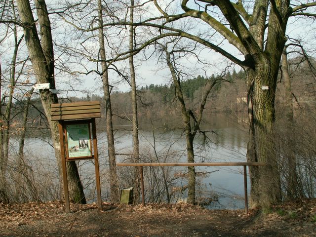 060415_PICT0042.JPG