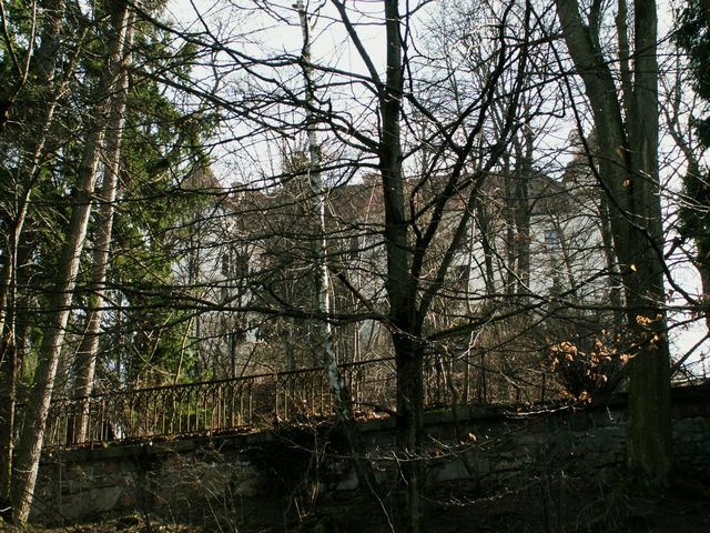 060415_PICT0043.JPG