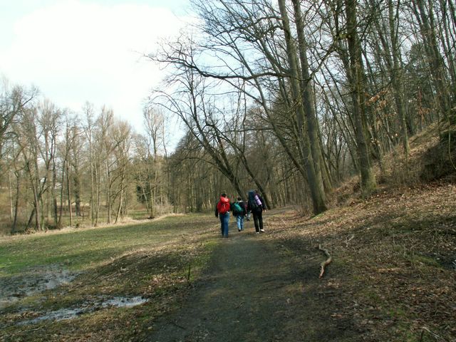 060415_PICT0062.JPG