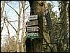 060415_PICT0022.JPG