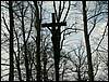 060415_PICT0035.JPG