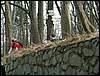 060415_PICT0039.JPG