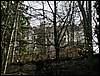 060415_PICT0043.JPG