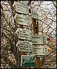 060415_PICT0045.JPG