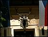 060415_PICT0051.JPG
