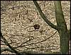 060415_PICT0061.JPG
