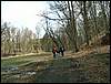 060415_PICT0062.JPG