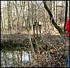 060415_PICT0064.JPG