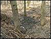060415_PICT0066.JPG