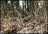 060415_PICT0069.JPG