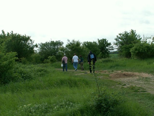 060521_PICT0004.JPG