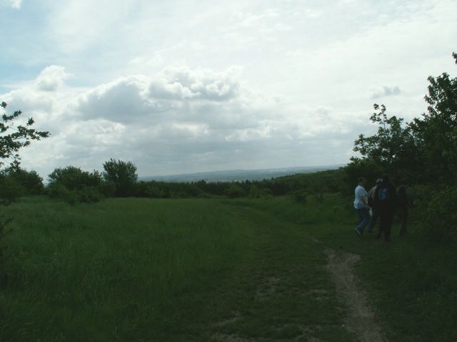 060521_PICT0005.JPG