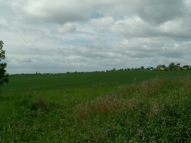 060521_PICT0007.JPG